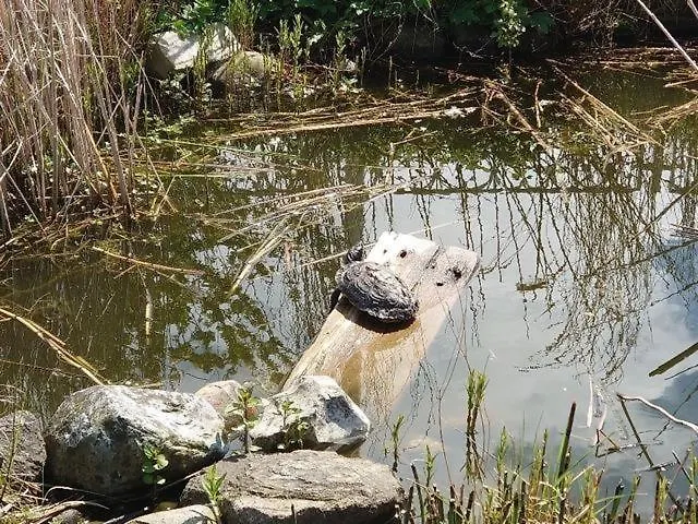 Vakantiehuis Ostsee Huus *